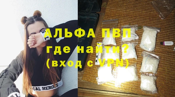 хмурый Белокуриха