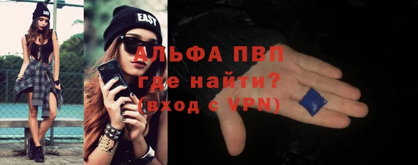 хмурый Белокуриха