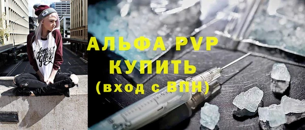 хмурый Белокуриха