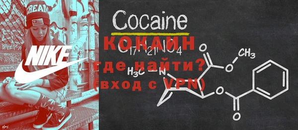 хмурый Белокуриха